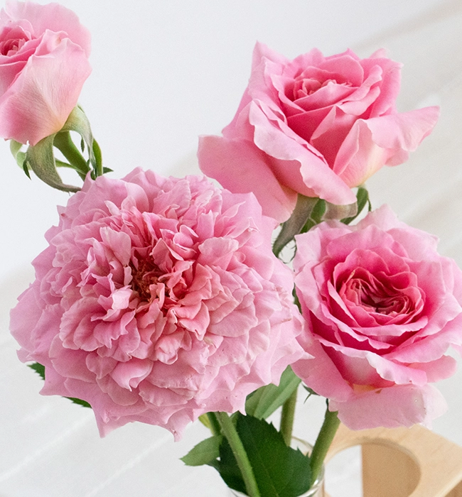 ストロベリーフィールズ