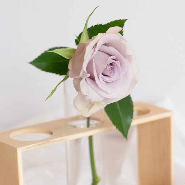 品種名アイスリバー