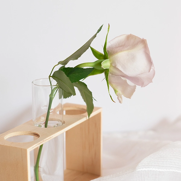 品種名アイスリバー