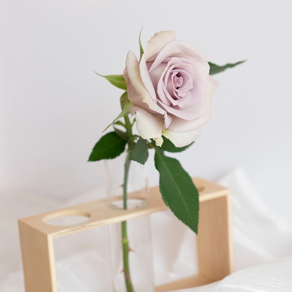 品種名アイスリバー