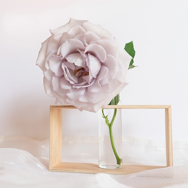 品種名アイスリバー