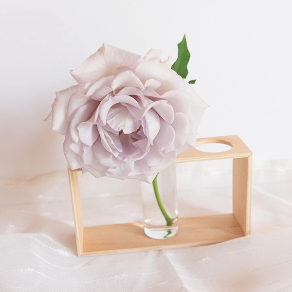 品種名アイスリバー