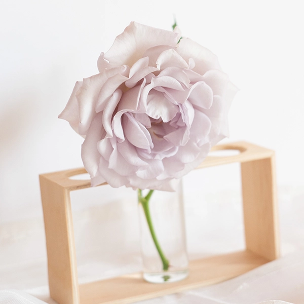 品種名アイスリバー