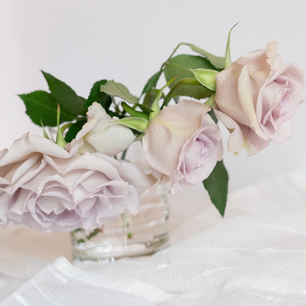 品種名アイスリバー