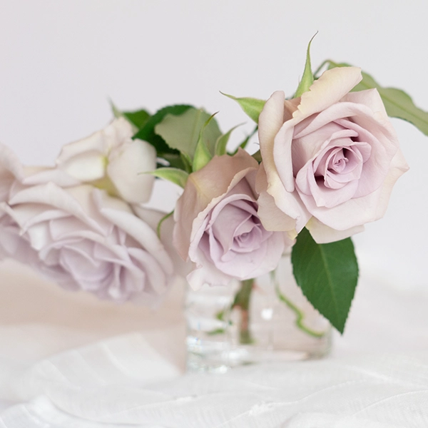 品種名アイスリバー