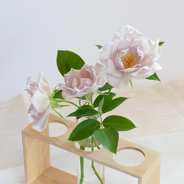 品種名アイスリバー