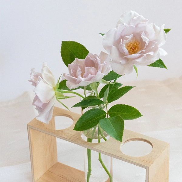 品種名アイスリバー