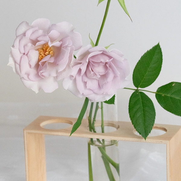 品種名アイスリバー