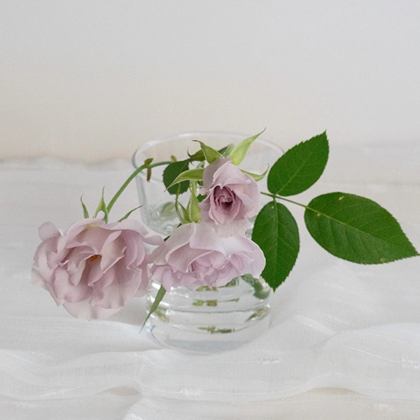 品種名アイスリバー