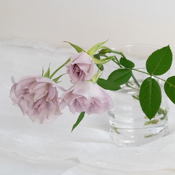 品種名アイスリバー