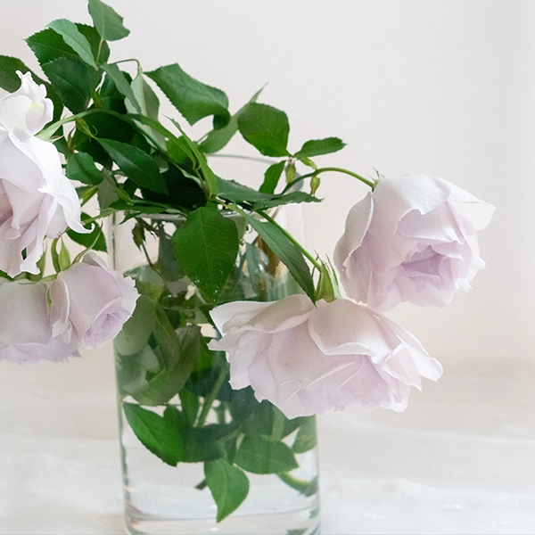 品種名アイスリバー