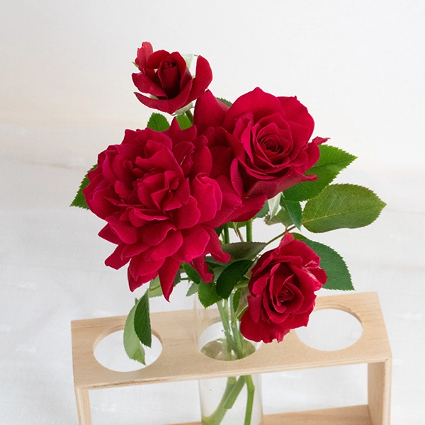 品種名アケメネス