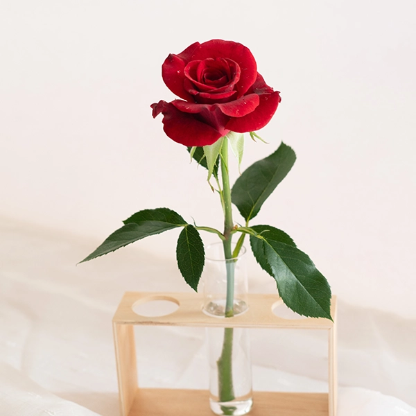 品種名ブラックホール