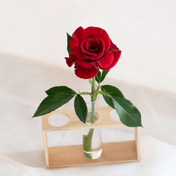 品種名ブラックホール