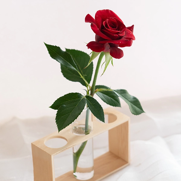 品種名ブラックホール