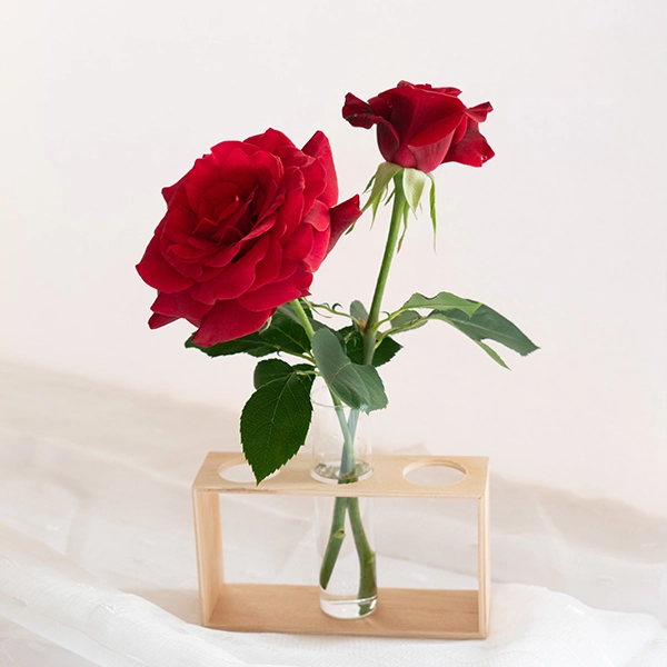 品種名ブラックホール