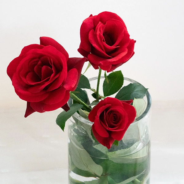 品種名ブラックホール