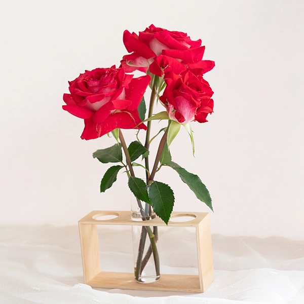 品種名チェリーフィールズ