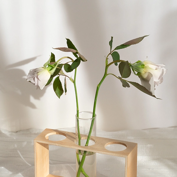 品種名ディアムーン