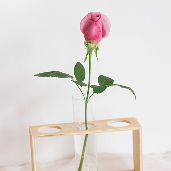 品種名ファルセット