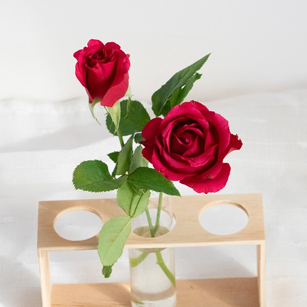 品種名ジニアス