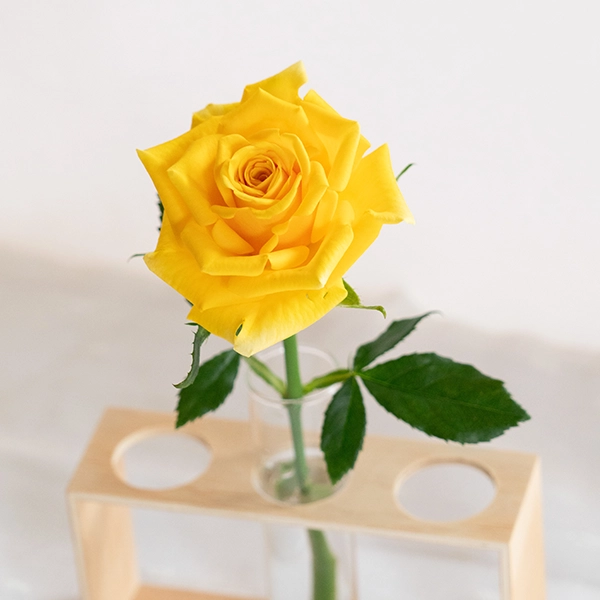 品種名ゴールドストライク