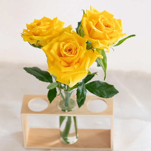 品種名ゴールドストライク