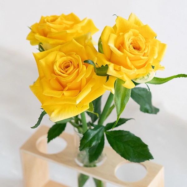 品種名ゴールドストライク