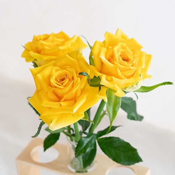 品種名ゴールドストライク