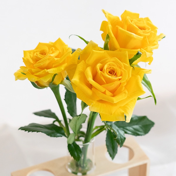 品種名ゴールドストライク