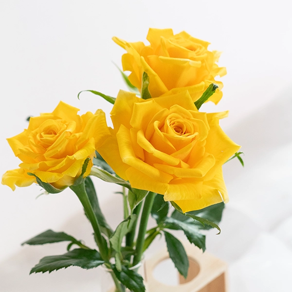 品種名ゴールドストライク