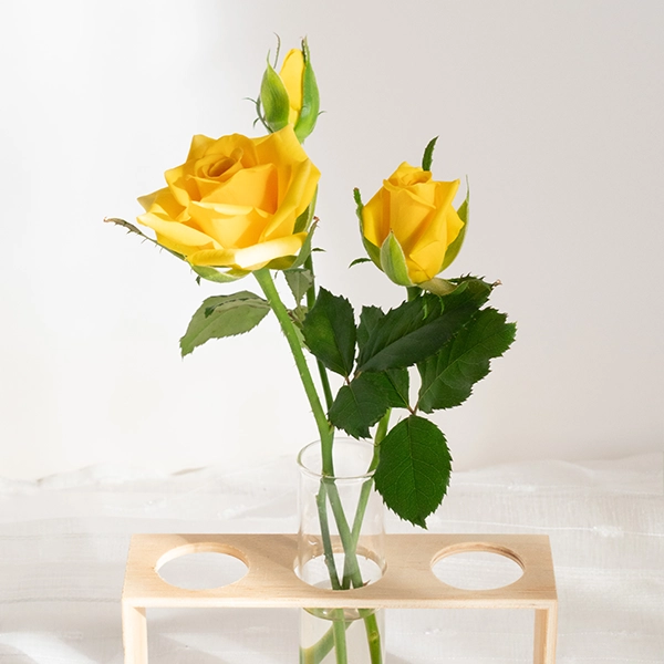 品種名ゴールドストライク