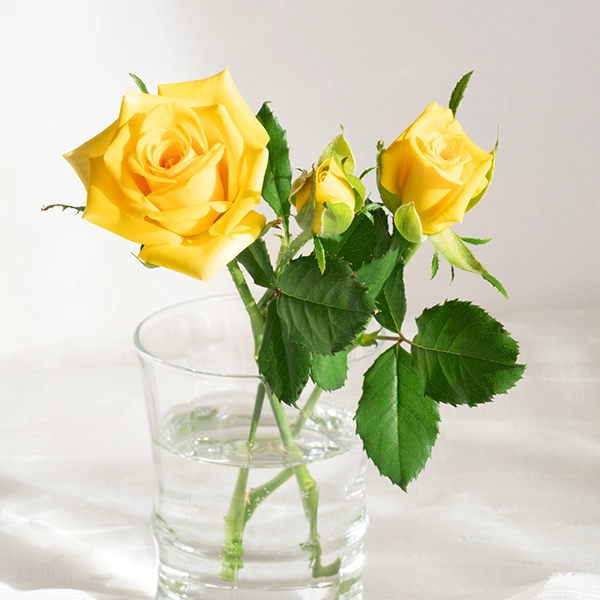 品種名ゴールドストライク