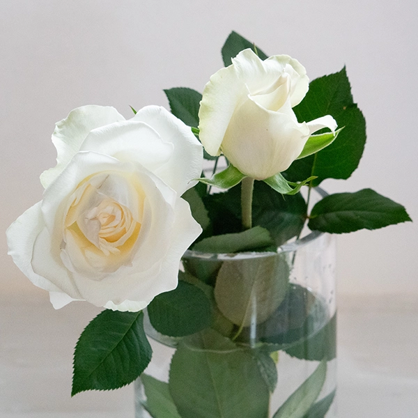 品種名ハッピーエンジェル