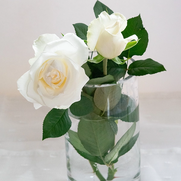 品種名ハッピーエンジェル