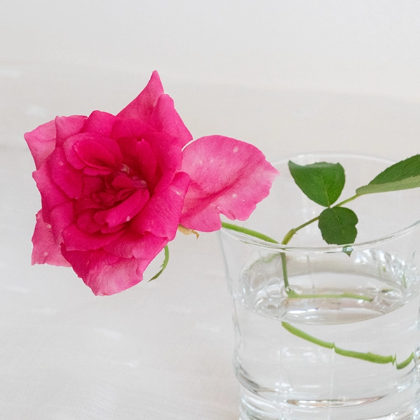 品種名ひらりん