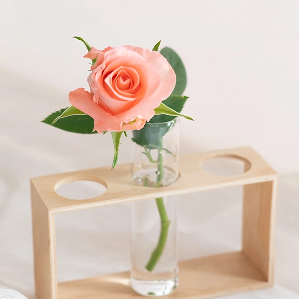 品種名インプリメンツ