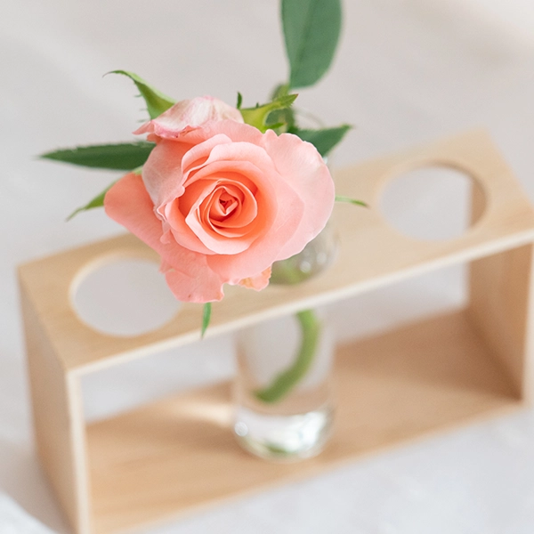 品種名インプリメンツ