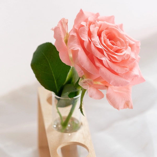 品種名インプリメンツ