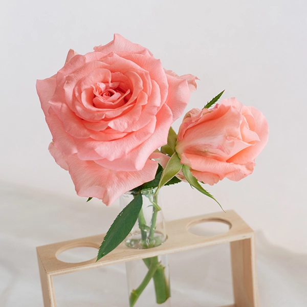 品種名インプリメンツ