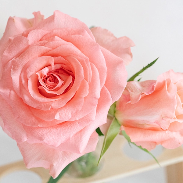 品種名インプリメンツ