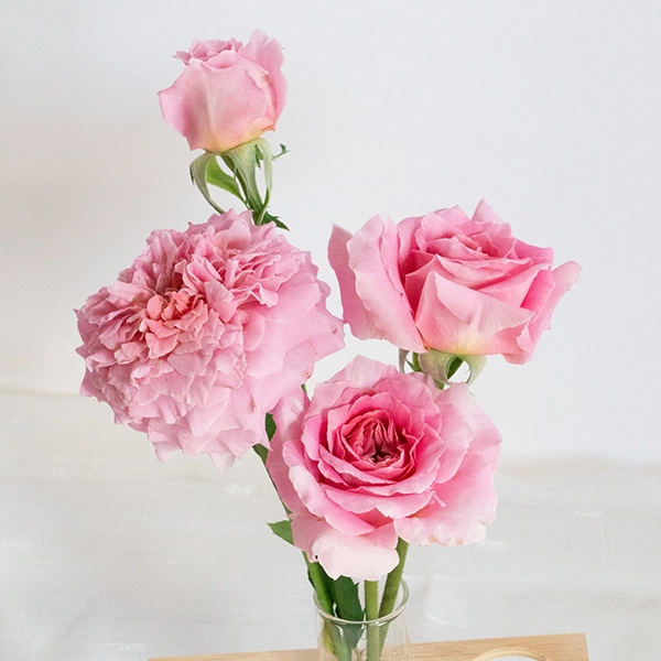 品種名ストロベリーフィールズ