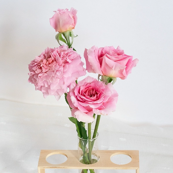 品種名ストロベリーフィールズ