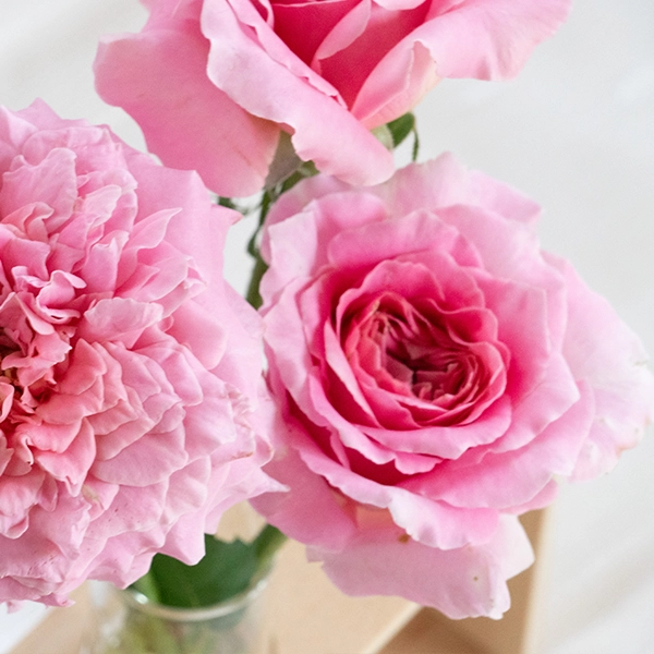 品種名ストロベリーフィールズ