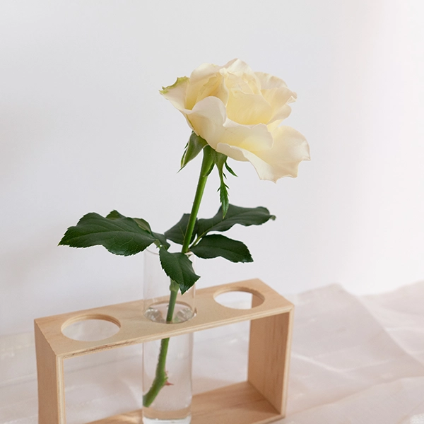 品種名シュークリーム