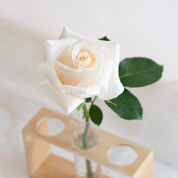 品種名ヴァレリア