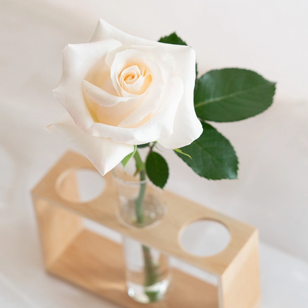 品種名ヴァレリア