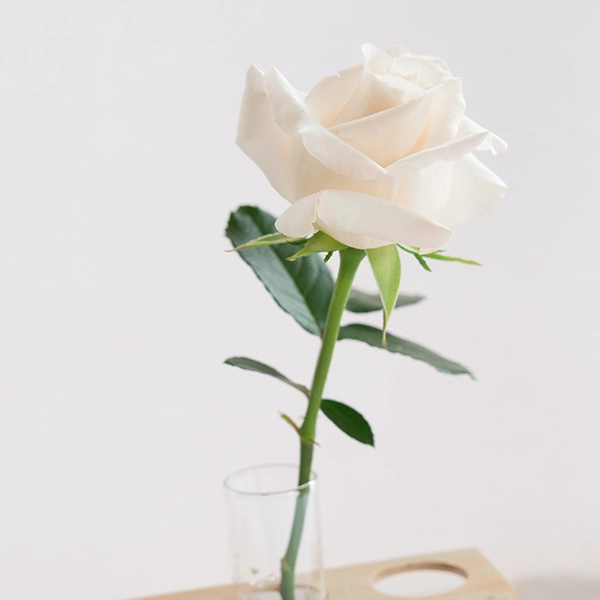 品種名ヴァレリア