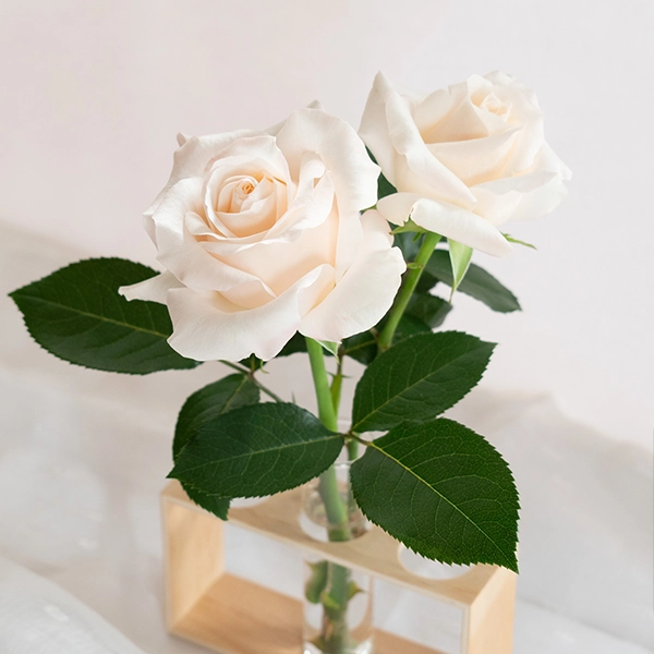 品種名ヴァレリア