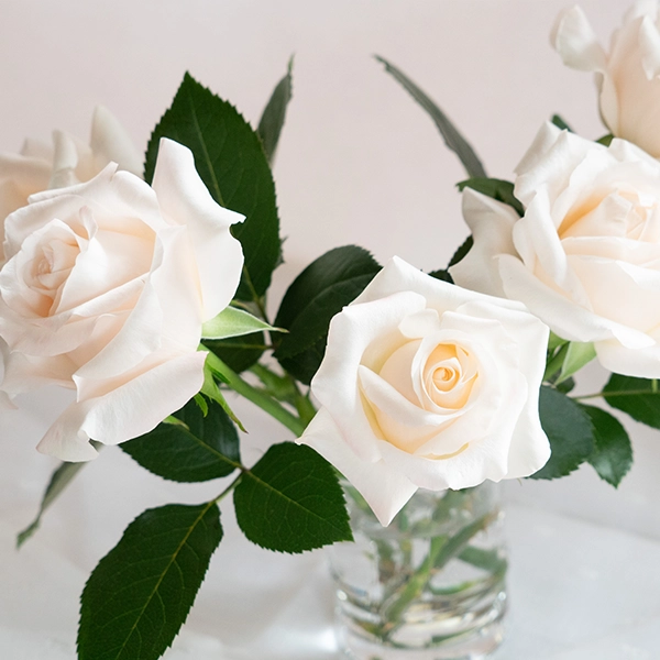 品種名ヴァレリア